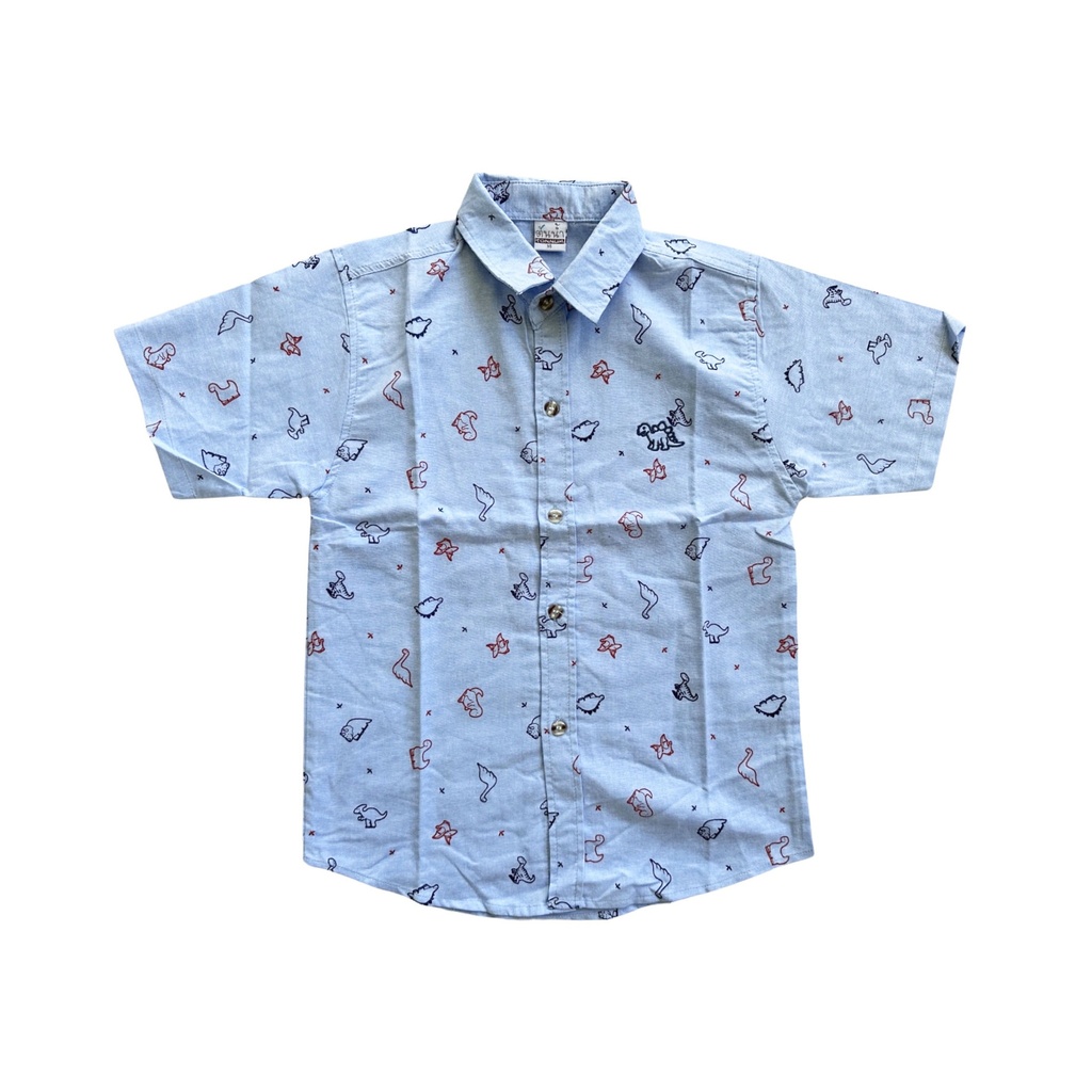 Boy's Shirt