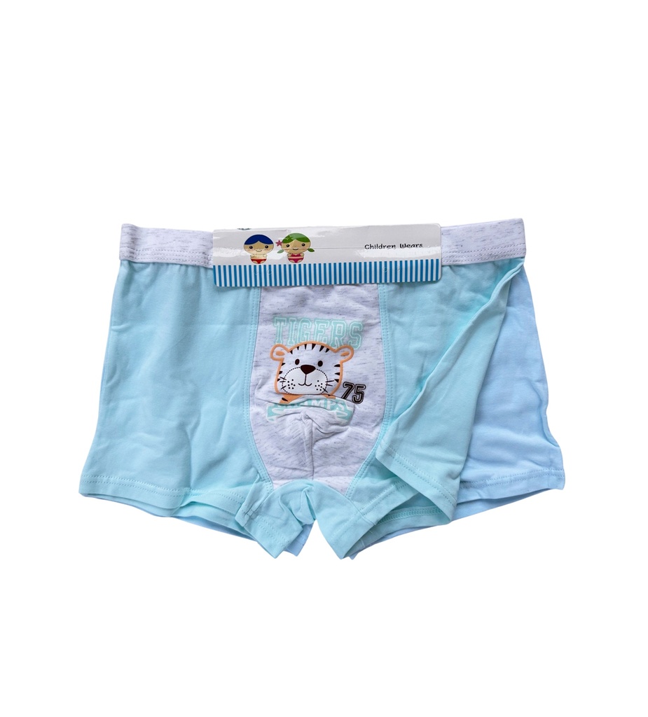 A Pair of Boy's Boxers