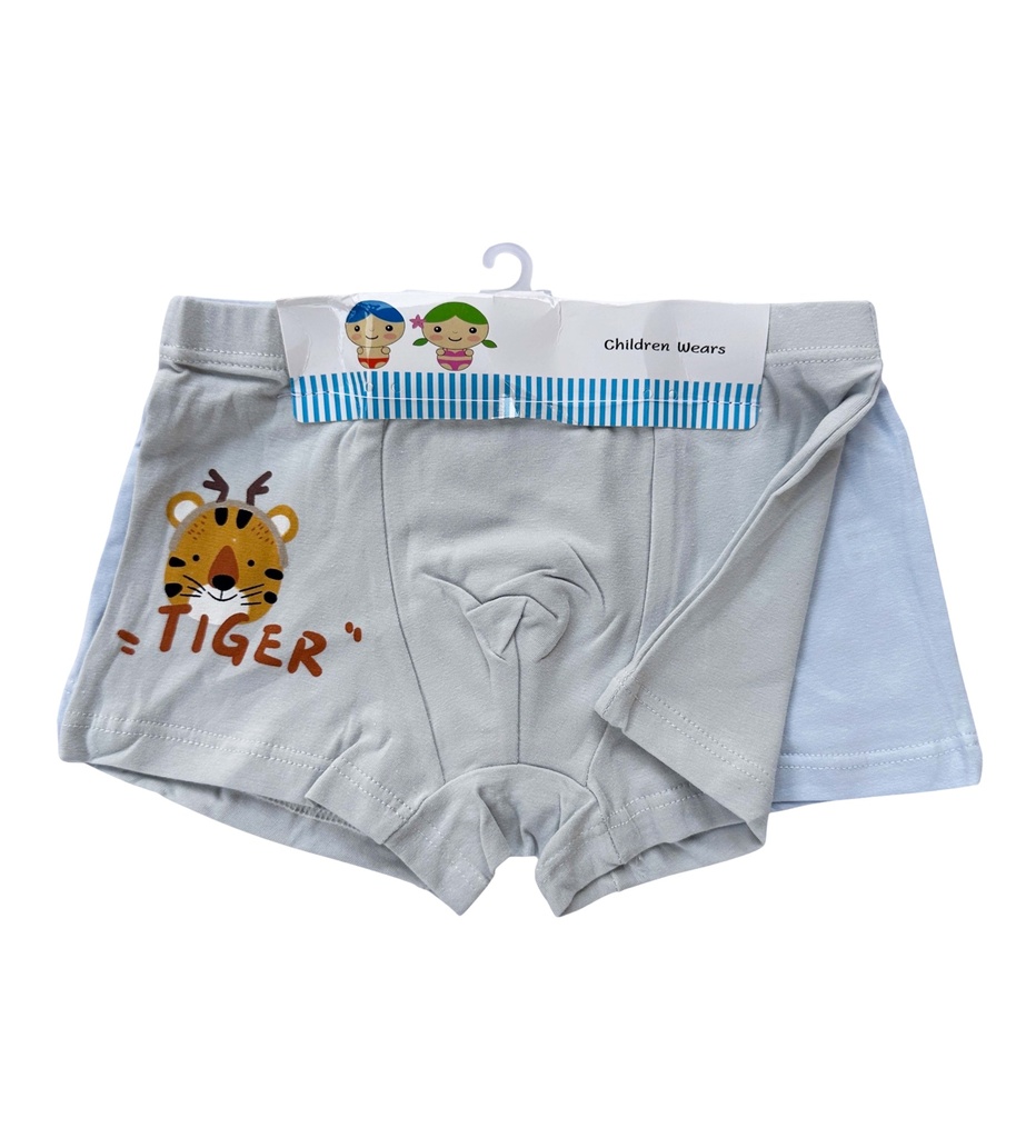 Assorted Kid's Boxer