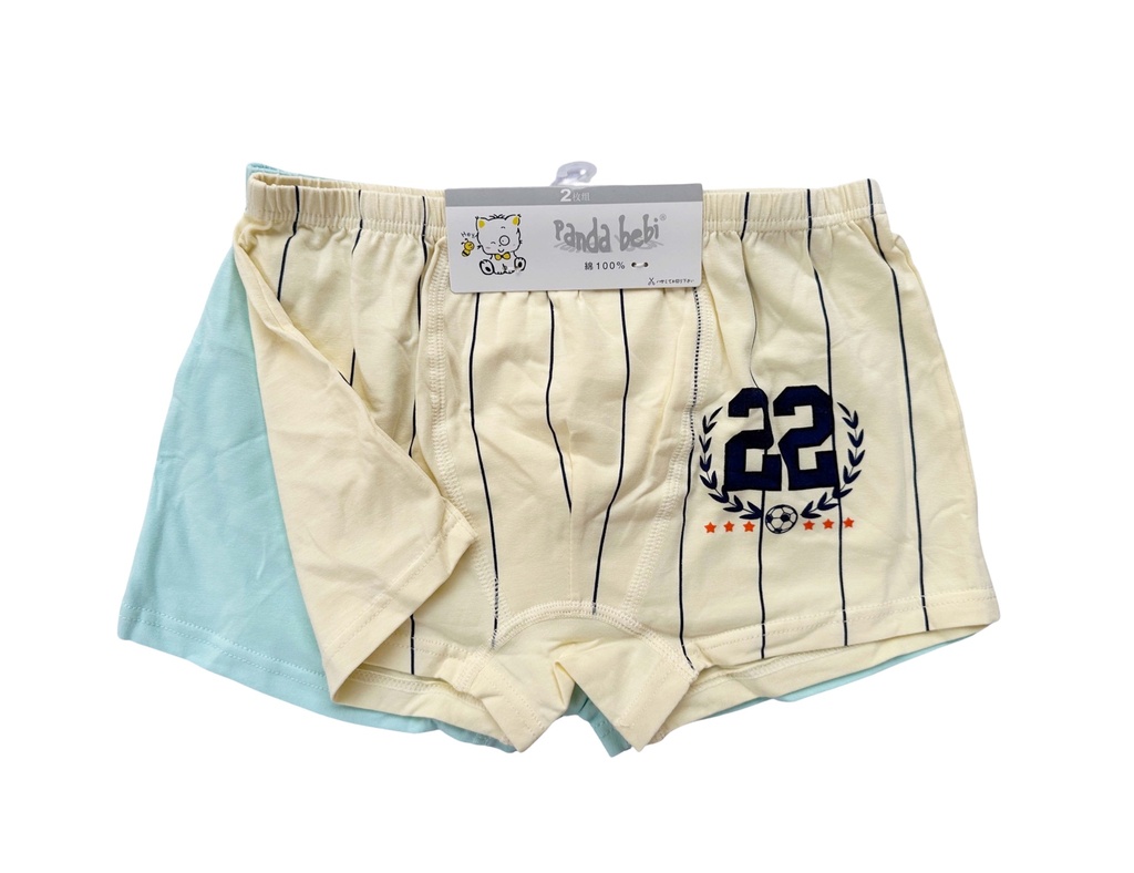 A Pair of Boy's Boxers