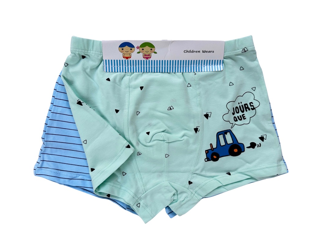 Assorted Kid's Boxer