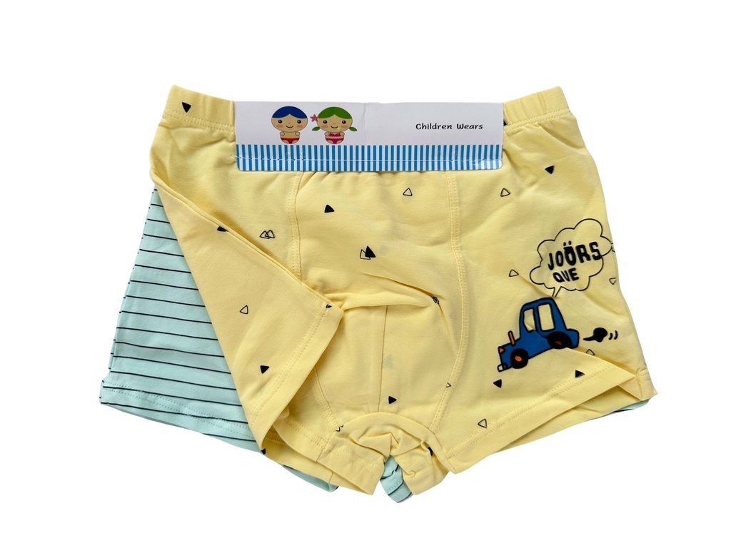 Assorted Boy's Boxers