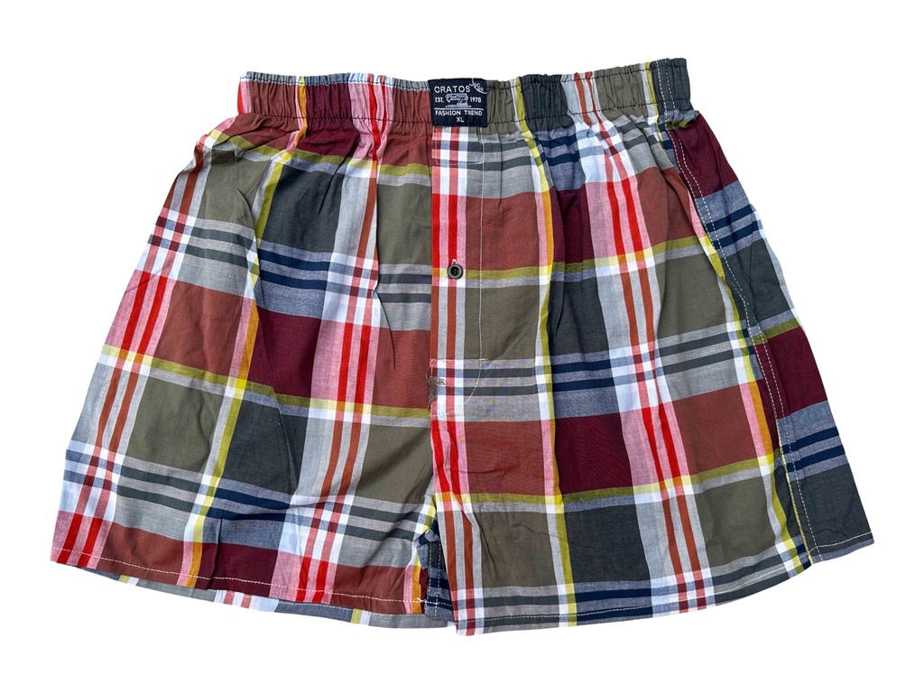 Multicolored Boxer