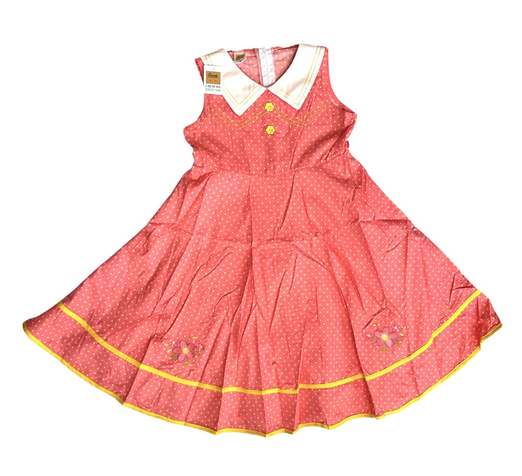 Girl's Dress