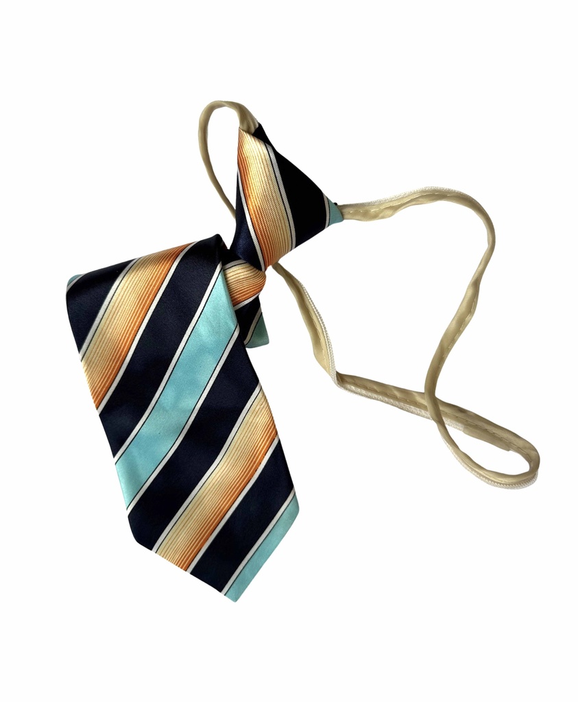 Children's Zipper Tie