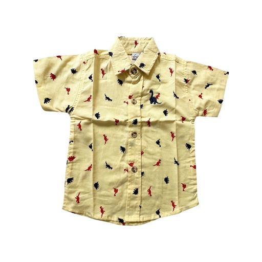 Boy's Shirt