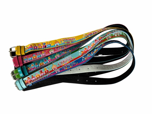 [OS/U/2275] Multicolored Girl's Belts