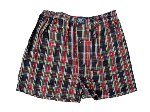 [06/23/M/2462] Multicolored Boxer