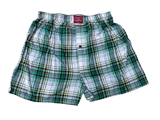 [06/23/M/2482] Multicolored Boxer
