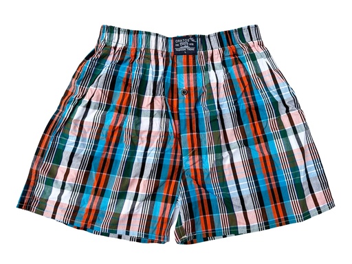 [06/23/M/2488] Multicolored Boxer