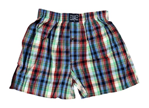 [06/23/M/2494] Multicolored Boxer