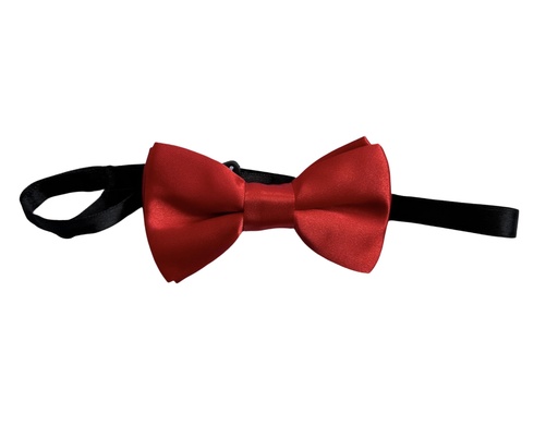 [02/24/B/4313] Bow Tie