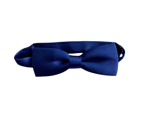 [02/24/B/4314] Bow Tie