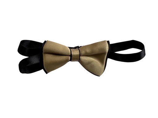 [02/24/B/4315] Bow Tie