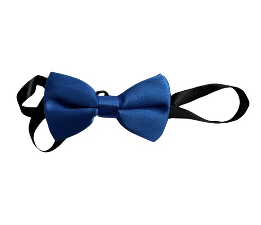 [02/24/B/4316] Bow Tie