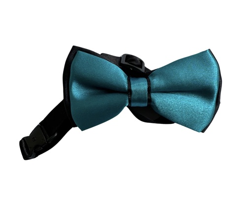 [02/24/B/4318] Bow Tie