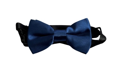 [02/24/B/4320] Bow Tie